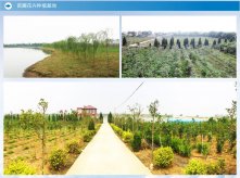 苗圃花卉种植基地