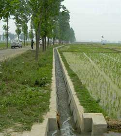 卧龙镇祖师殿中低产田改造项目