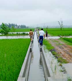 农业综合开发渭水中低产田改造项目