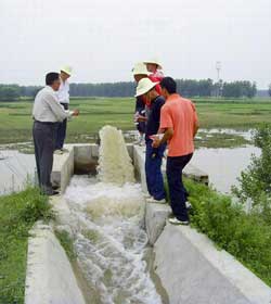 枣阳市车河土地整理项目