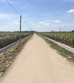 襄州区新增千亿斤粮食生产能力规划田间工程