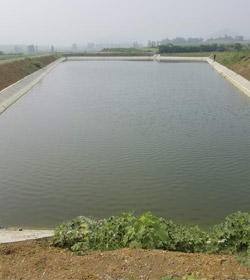 襄阳市直农场畜牧良种场高标准农田建设项目