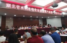 湖北水建当选湖北省水利水电企业协会理事单位