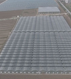 襄州区双沟现代农业示范区高标准农田建设项目