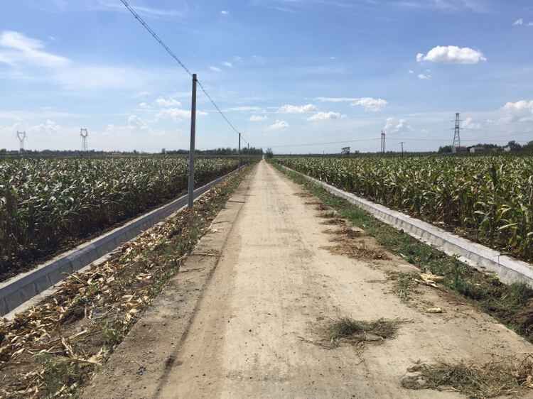 襄阳市襄州区新增千亿斤粮食生产能力规划田间工程